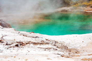 Hot Springs in Te Puia, Rotorua in New Zealand on the North Island.