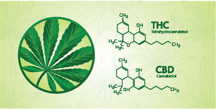Cannabis benefits for health vector illustration.