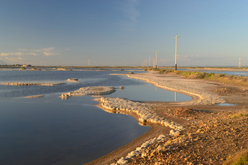 Stagno di Santa Gilla