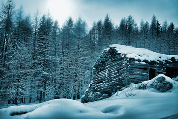 casetta nel bosco con neve, chalet