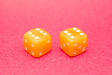 Amber daces close up on pink background