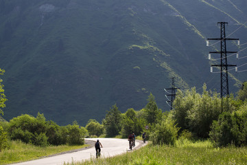 Fototapeta premium A group of cyclists going to the mountains on the road