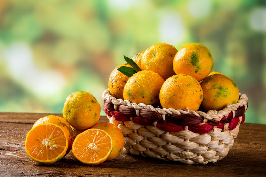 Rangpur lime, or limao cravo in Portuguese, covered with ripe fruits. Brazil