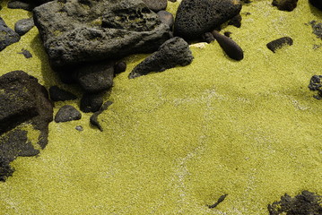 Green sand beach in Big Island Hawaii