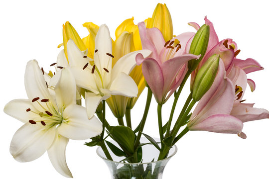 Bouquet of lilies in a vase