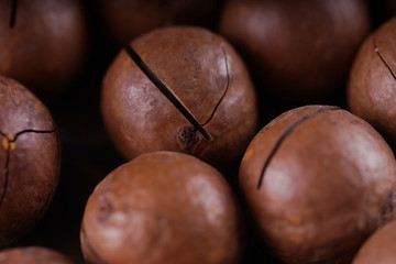 Macadamia nuts closeup.