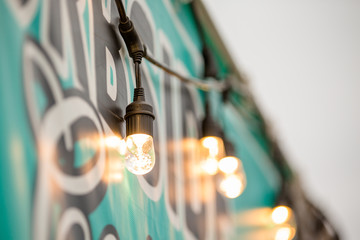 String Lights at Outdoor Picnic