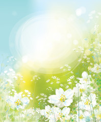 Fototapeta na wymiar Vector spring floral background.