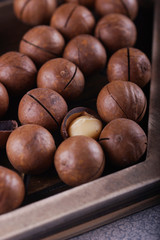 Macadamia nuts closeup.