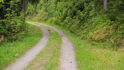 country road small path with