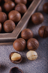 Macadamia nuts closeup.