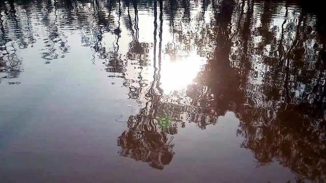 Sunset Reflecton on Pond Water