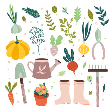 Garden tools vector gardening equipment and cute farm elements and vegetables on white background