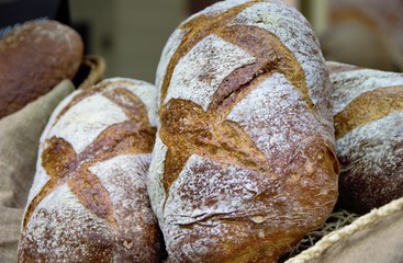 bread with a curly crust on the counter