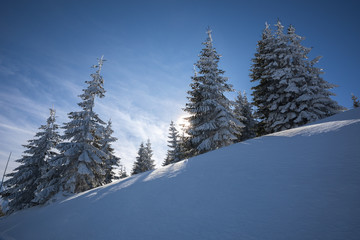 Fototapeta na wymiar winter slope
