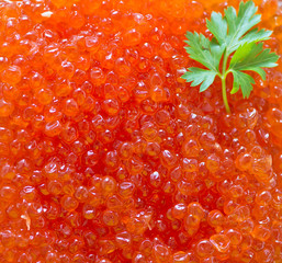 red salmon caviar