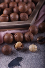 Macadamia nuts closeup.