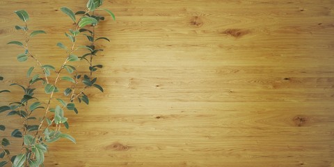 Wood background with a plant 3D illustration