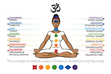 Chakras system with glands of human body - used in Buddhism and Ayurveda. For design, associated with yoga. Vector Sahasrara, Ajna, Vishuddha, Anahata, Manipura, Swadhisthana, Muladhara, symbol Om