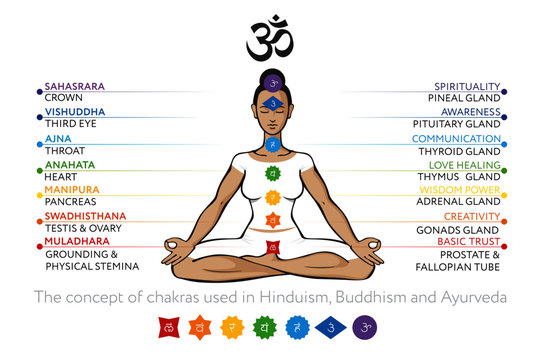 Chakras system with glands of human body - used in Buddhism and Ayurveda. For design, associated with yoga. Vector Sahasrara, Ajna, Vishuddha, Anahata, Manipura, Swadhisthana, Muladhara, symbol Om