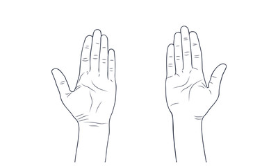 Fototapeta premium Vector sketch illustration - women's hands.