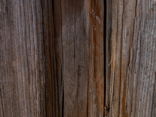 Beautiful natural wooden background. dry tree trunk.wood texture