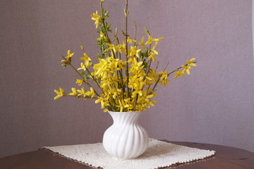Vase with spring yellow flowers - Forsythia