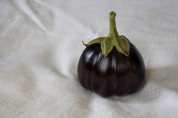 One rape eggplant is laying on the white background. Autumn vegetables. Delicious and healthy food