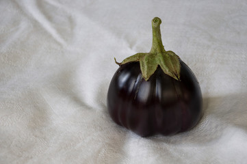 One rape eggplant is laying on the white background. Autumn vegetables. Delicious and healthy food