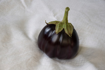 One rape eggplant is laying on the white background. Autumn vegetables. Delicious and healthy food