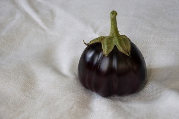 One rape eggplant is laying on the white background. Autumn vegetables. Delicious and healthy food