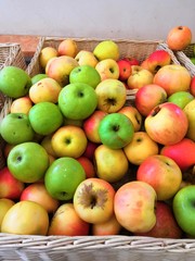 Multicolor apples