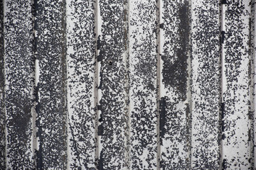 Corrugated shabby metal sheet