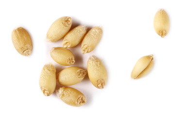 Macro wheat grains isolated on white background, top view