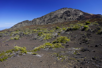 Beautiful moon landscape in Haleakala national park in Hawaii