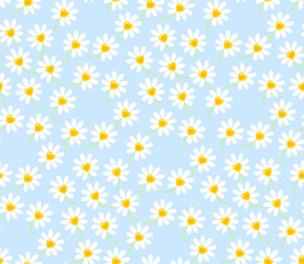 floral seamless pattern white daisy flower on blue background vector