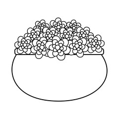 floral decoration in ceramic pot