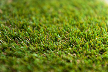 Grass - small depth of field