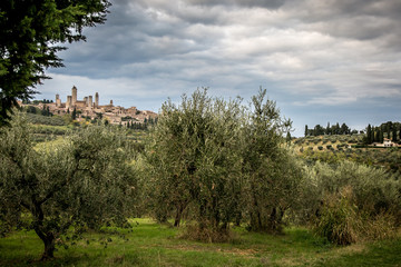Fototapeta na wymiar Beautiful Tuscany landscape