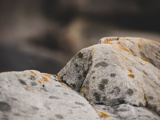 Rain dotted granite rock in focus, darker rocks out of focus in background