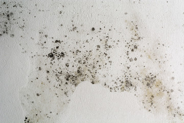 Black spots of toxic mold and fungus bacteria on a white wall. Concept of condensation, damp, water...