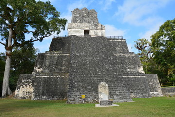 Site Archéologique de Tikal Peten Guatemala