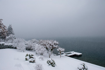 Lake shore in winter