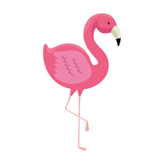 elegant flamingo bird icon