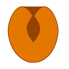 Cutted apricot icon