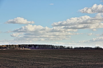 Spring ploughed sown field under the blue sky with clouds