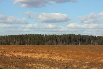 Fototapeta na wymiar Sown plowed field with forest on the horizon against the blue sky with clouds - beautiful rural landscape in spring