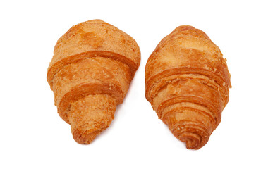 two cuirassins on a white background