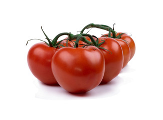 red tomatoes on a twig isolated on white background