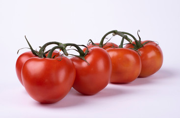 red tomatoes on a twig isolated on white background